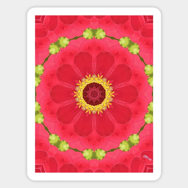 Kaleidoscopic Zinnia Sticker by RainbowStudios